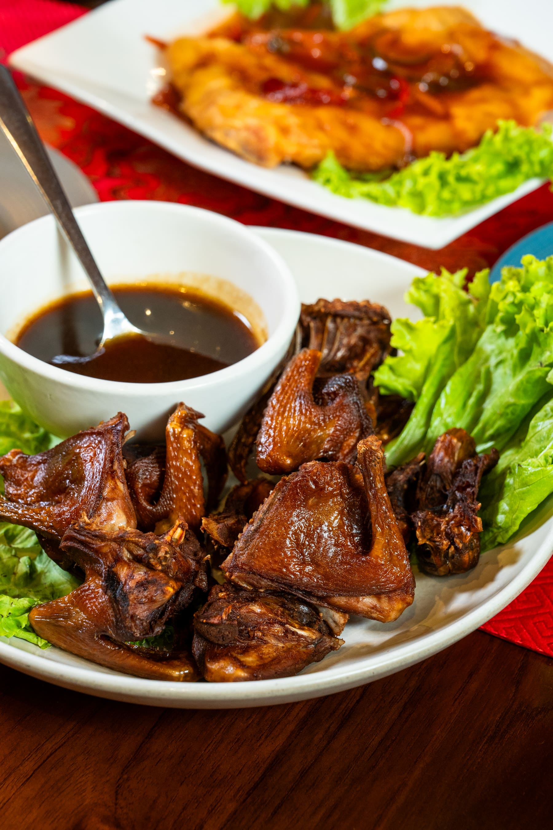 Burung Dara